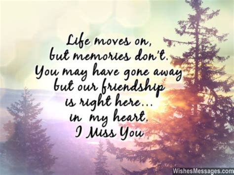 72+ Missing A Friend Quotes And Sayings