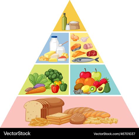 Balanced diet pyramid Royalty Free Vector Image