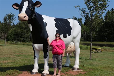 COWS Ice Cream: A Family Tradition - Cowsmo