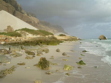 Socotra Island ,Yemen - Wonderful