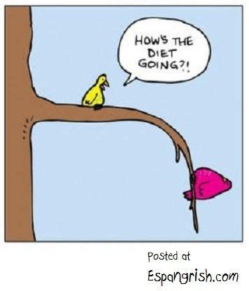 Funny-Cartoon-Fat-Bird-How's-The-Diet-Going | lolzlolzlolz | Pinterest ...