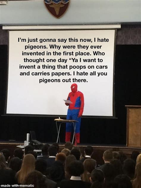 PIGEONS : r/memes