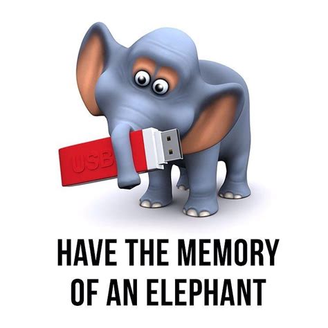 Have the Memory of an Elephant