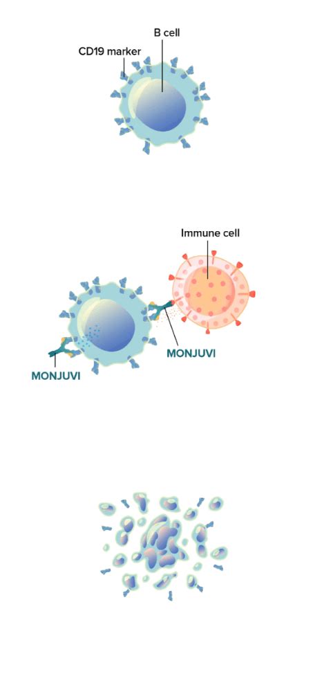 About MONJUVI | MONJUVI® (tafasitamab-cxix): Treatment for R/R DLBCL