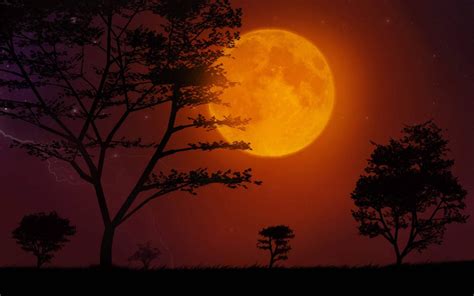 Download Blazing Moon Night Sky Wallpaper | Wallpapers.com