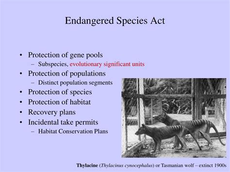 PPT - Endangered Species Act PowerPoint Presentation, free download - ID:5740592