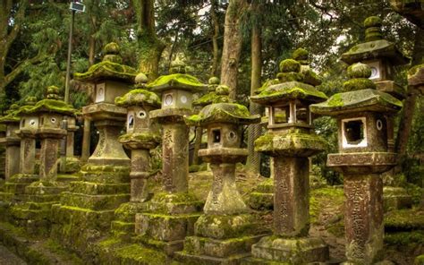 A Day Trip to Nara, Discovering Beautiful Temples and Shrines