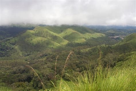 Temperate Grasslands Biome: Location, Climate, Temperature, Plants and Animals | Conserve Energy ...