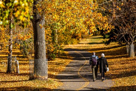 Canada says hello to fall and goodbye to summer. What to expect this year - National | Globalnews.ca