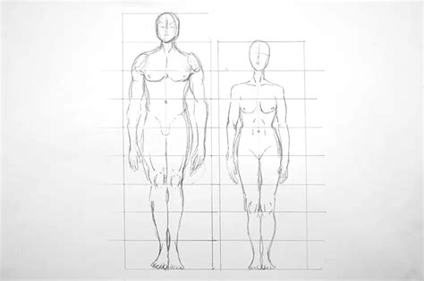 How to Draw Human Proportions - Scale the Figure Correctly (2022)