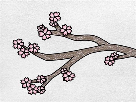 Cherry Blossom Drawing - HelloArtsy