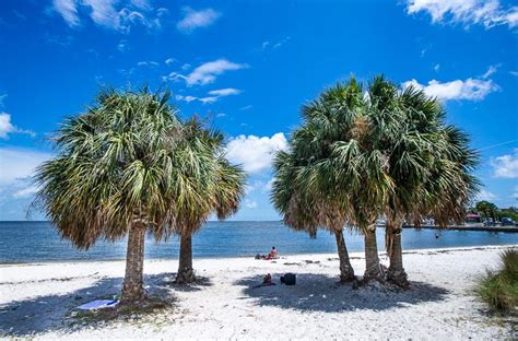 12 Amazing Things To Do In Cedar Key (+ where to eat & stay) Cedar Key Florida, Old Florida ...