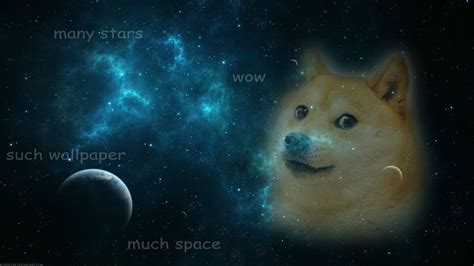 Doge Meme Wallpapers - Top Free Doge Meme Backgrounds - WallpaperAccess