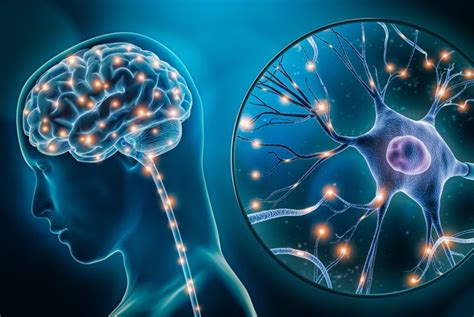 Acute Dystonic Reaction Causes, Symptoms, and Treatment - Health & Detox & Vitamins