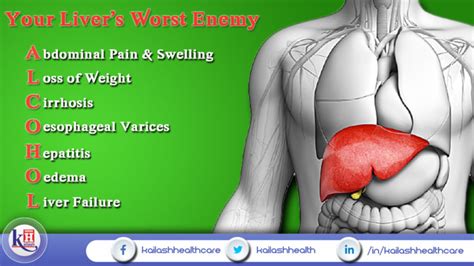 Alcohol can have harmful effects on your Liver