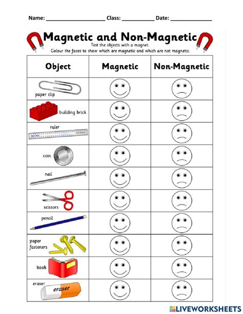 Magnetic or Non-Magnetic WS worksheet | Worksheets, Magnets, Science ...