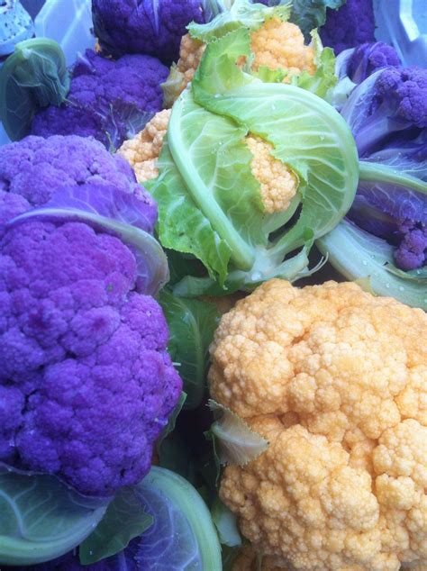 Cauliflower Graffiti and cauliflower Cheddar picked in October Cheddar, Cauliflower, Graffiti ...