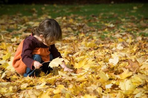 What to plant with the kids this autumn - Gardening 4 Kids