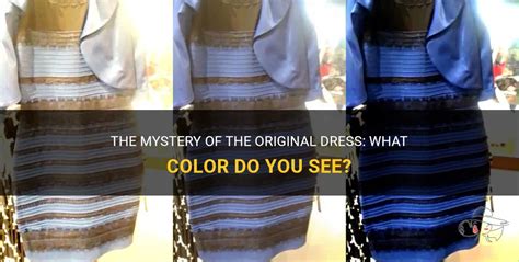 The Mystery Of The Original Dress: What Color Do You See? | ShunVogue