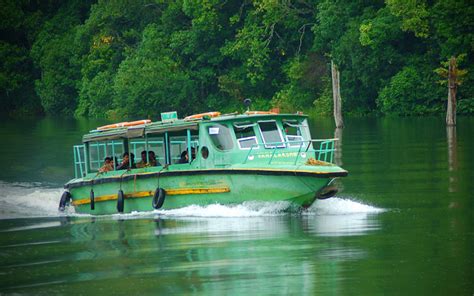 Thekkady Bosting - Best Family Hotel Thekkady - Woodnote Thekkady