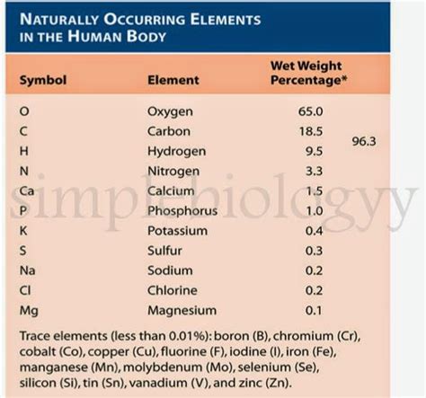 BIOELEMENTS AND THEIR PERCENTAGES « SimpleBiology