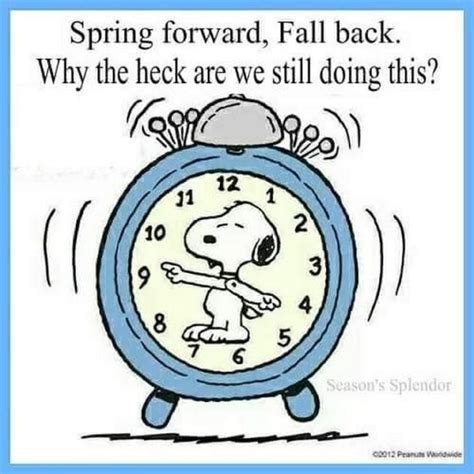 Spring Forward Memes 2024 - Inna Renata