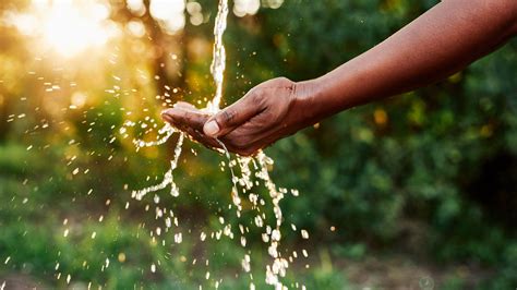 What Kind of Water to Use for your Hydroponic Plants