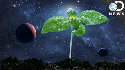 How Astronauts Grow Plants In Space - YouTube