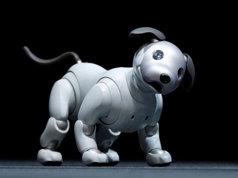 André 🔝 🆕 💯 ↗️ 🆓 on Twitter | Robot dog, Robotic dog, Japanese robot