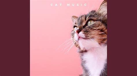 Cat Music - YouTube Music