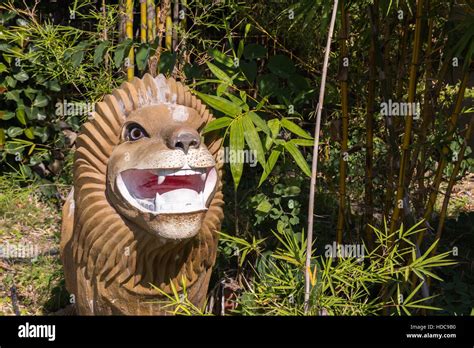 Lion head sculpture made of wood Stock Photo - Alamy