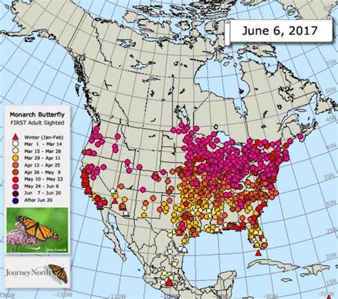 Monarch arrival map | Monarch butterfly migration, Butterfly migration, Map