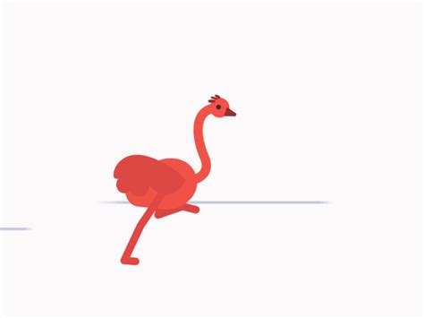 Ostrich running! by Alejandro Imondi on Dribbble