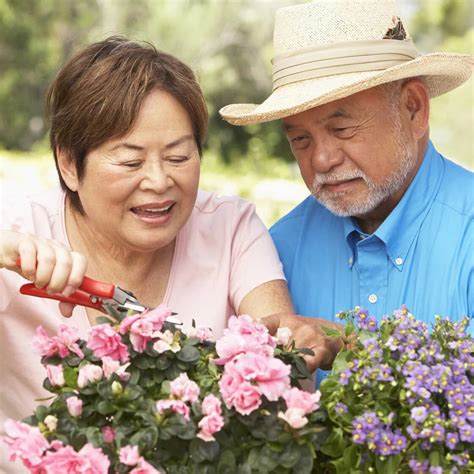 Here’s How to Clean Up Your Garden at Summer’s End | Home Hardware