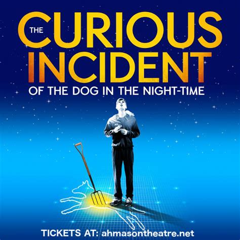 The Curious Incident Of The Dog In The Night-Time | Ahmanson Theatre in Los Angeles