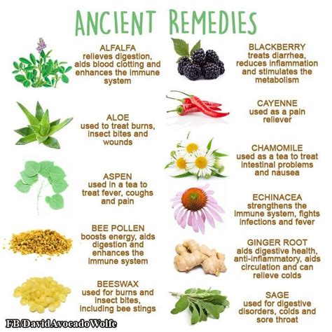 David Wolfe - Timeline Photos | Natural herbal remedies, Herbalism ...