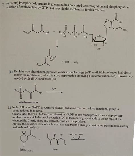 9. (6 points) Phosphoenolpyruvate is generated in a | Chegg.com