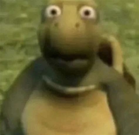 Shocked Turtle Reaction Image (SD) | Shocked Turtle / HUH | Know Your Meme