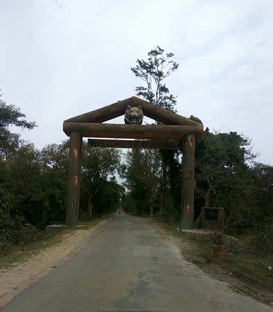 Dudhwa National Park - 2021 What to Know Before You Go (with Photos) - Tripadvisor