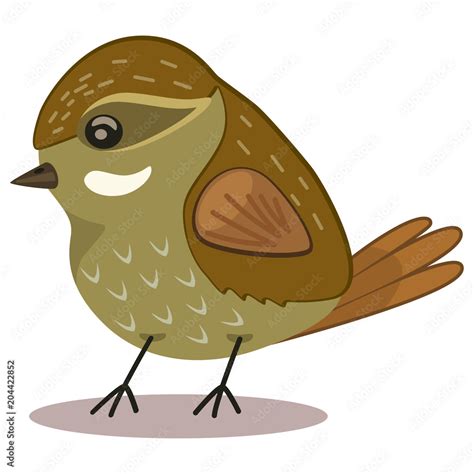 Xenops bird cartoon vector illustration isolated on white background ...