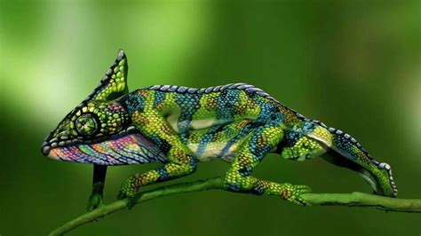 Can you find two women in this brain-melting optical illusion of a chameleon in 8 seconds ...