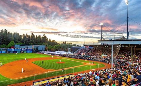 Vancouver Canadians Stadium Work - Vancouver, BC - Raybern Erectors