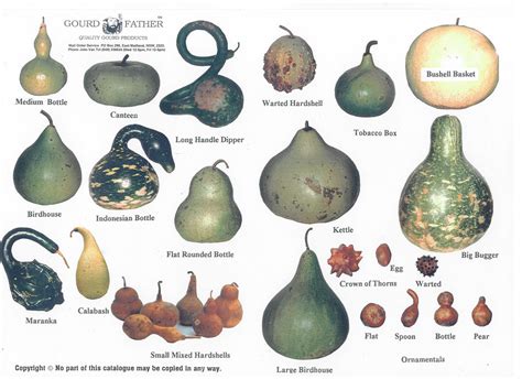 Dried Gourds | Gourds, Gourd art, Stone art