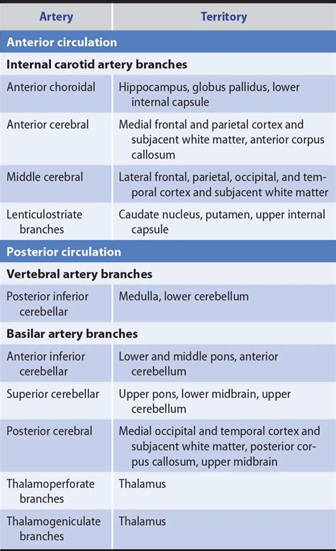 Cerebral Artery Occlusion Pathophysiology - mapasgmaes