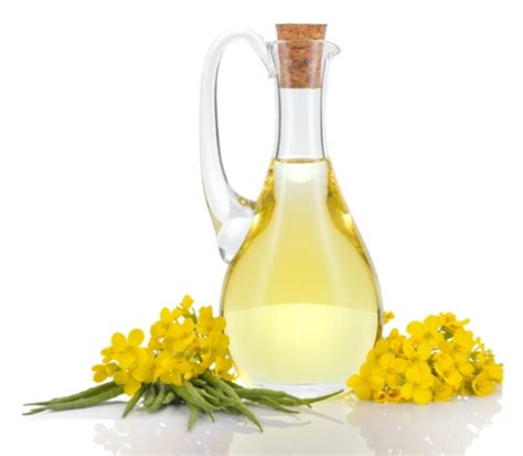 The Health Benefits of Rapeseed Oil