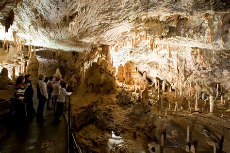 50 Breathtaking Postojna Cave Photos To Inspire You To Visit Slovenia