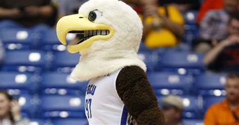 Azul the Eagle: FGCU's mascot at NCAA Tournament