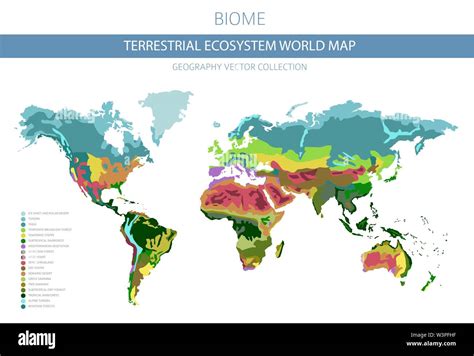 Terrestrial ecosystem world map. Biome. World climatic zone infographic ...