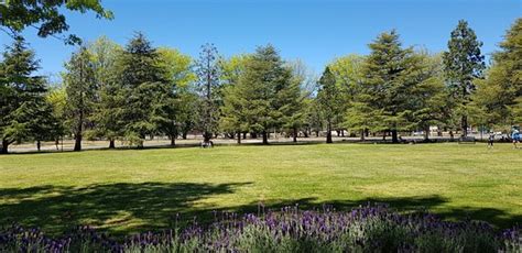 Old Parliament House Gardens (Canberra): UPDATED 2021 All You Need to ...