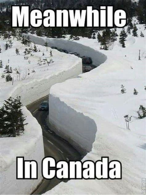 Pin by lrene Rawlings on interesting | Canada funny, Canada memes ...